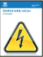 INDG231 (rev1) 04/12 Electrical safety and you: A brief guide (first edition)